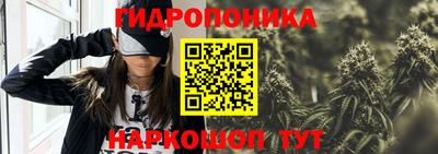 прущие крисы Бердск