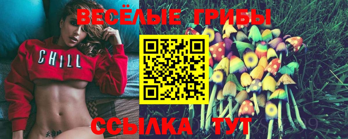 Псилоцибиновые грибы GOLDEN TEACHER  Вход с VPN  Димитровград  Псилоцибиновые грибы Psilocybine cubensis 