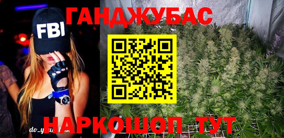 Конопля сатива Димитровград